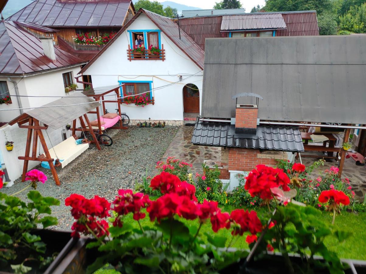 Casa Toth Din Tipterai Hotel Felsővisó Kültér fotó